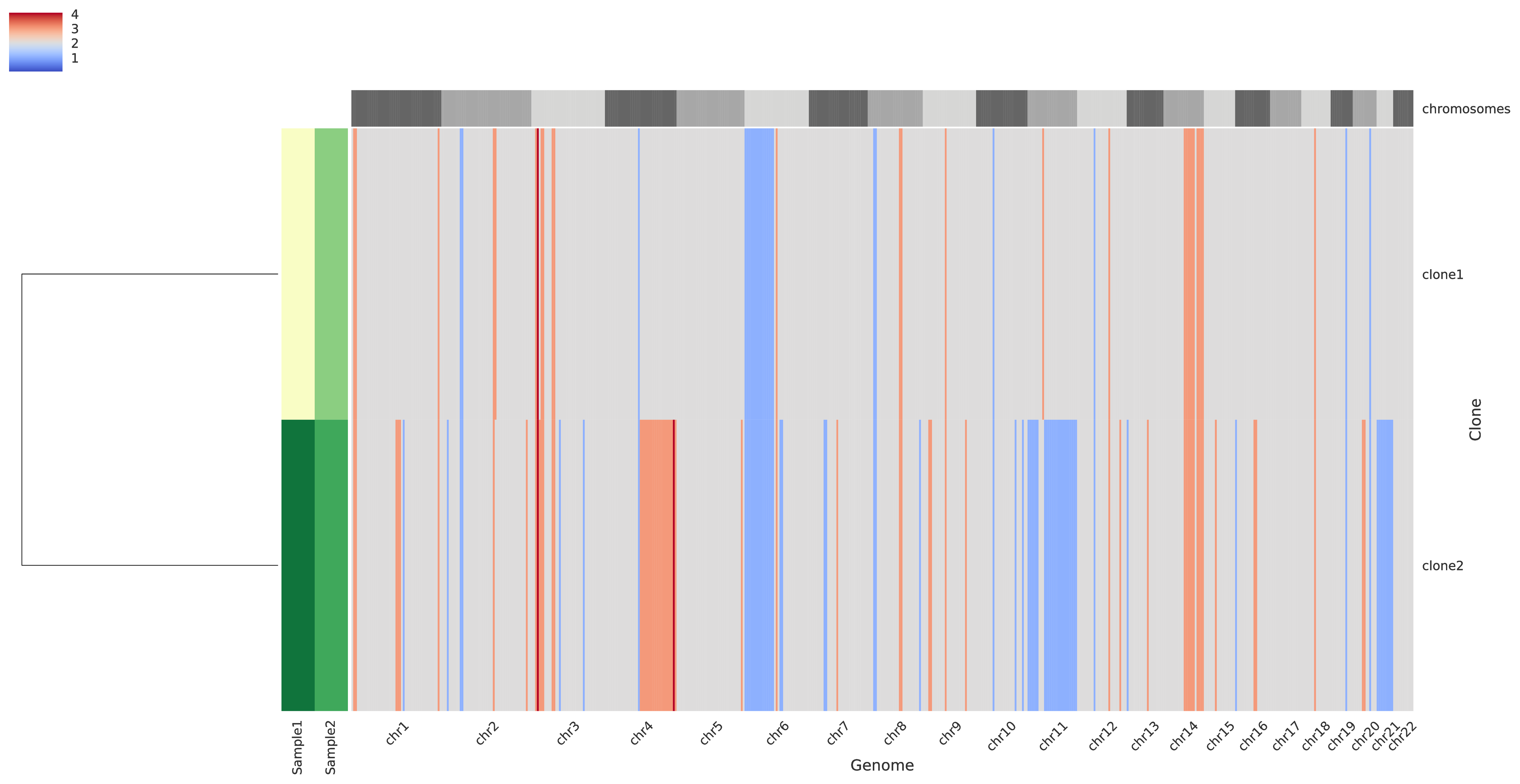 intratumor-clones-allelecn.pdf